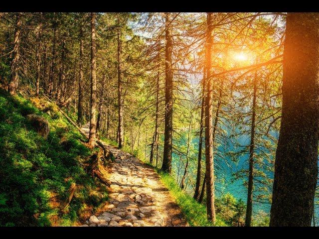 GOOD MORNING MUSIC 528Hz  Positive Energy  Have The Best Day - Morning Meditation music