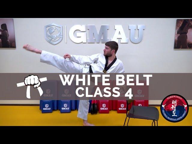 Taekwondo Follow Along Class - White Belt - Class #4