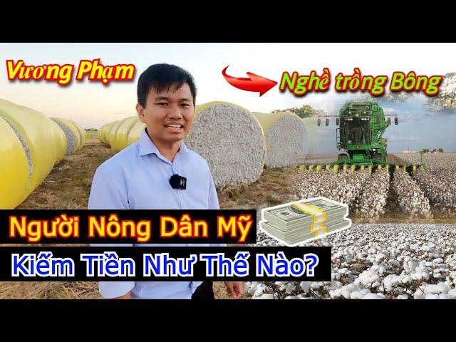 Vương Phạm || Người Nông Dân Mỹ Kiếm Tiền Như Thế Nào?