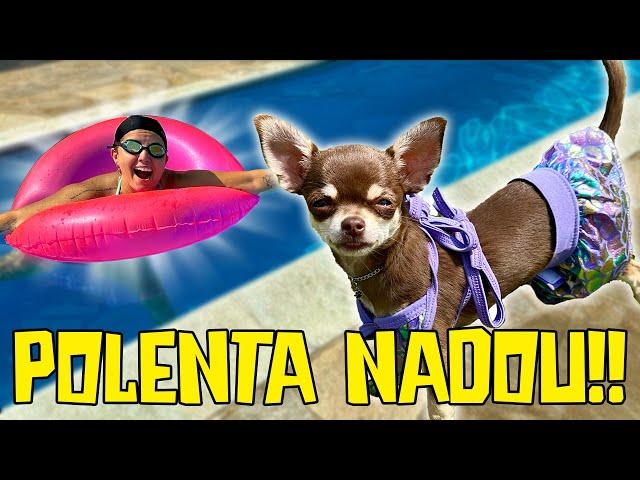 POLENTA FINALMENTE NADOU NA PISCINA!