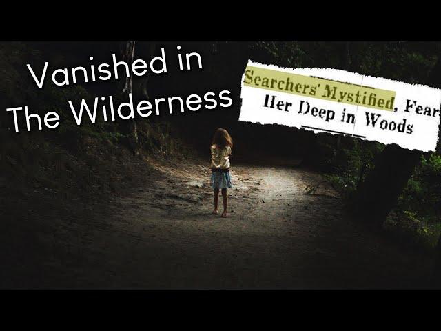 Strange Disappearances in America That Baffled Searchers