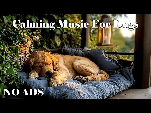  6 Hour Dog Sleep Aid | Soothing Sounds for Anxious Pets #relaxdog
