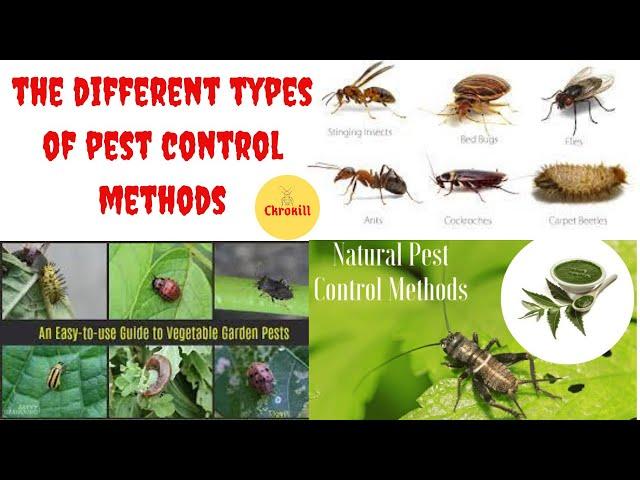 What are the Different Types of Pest Control Methods