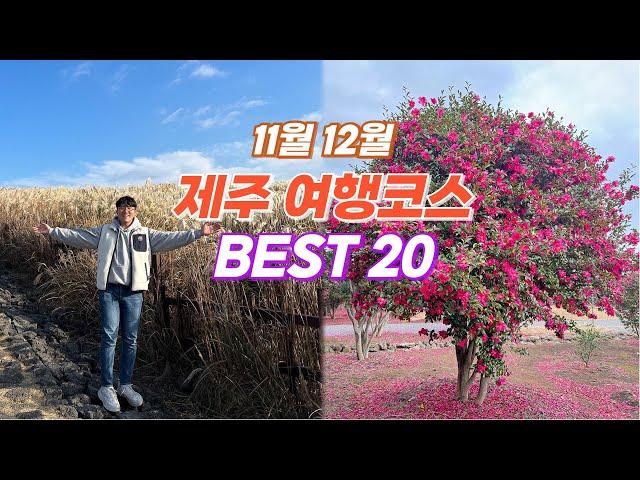 11월 12월 제주여행 추천 코스 BEST 20  날씨가 추워져도 예쁜 곳이 넘쳐나는 가을 겨울 제주도 여행지 추천