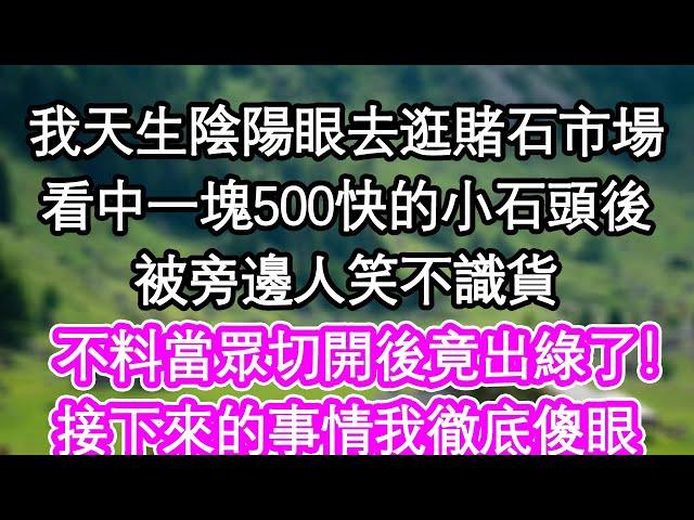 我天生陰陽眼去逛賭石市場，看中一塊500快的小石頭後，被旁邊人笑不識貨，不料當眾切開後竟出綠了！接下來的事情我徹底傻眼| #為人處世#生活經驗#情感故事#養老#退休