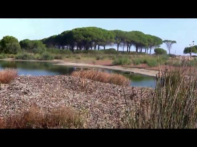 Découverte des #paysages-sauvages du Nord de la #Sardaigne