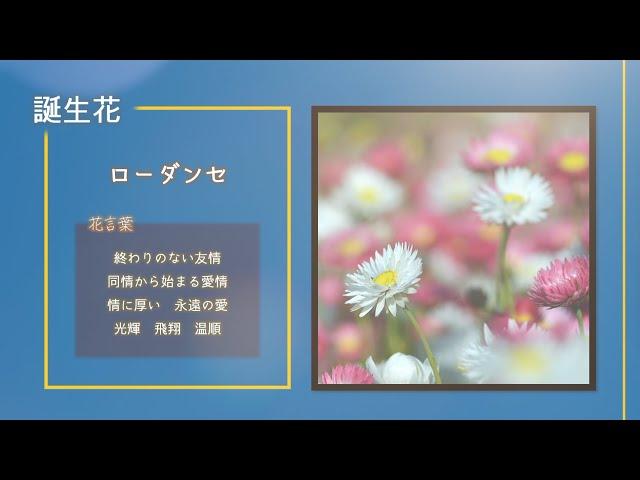 【今日は何の日？】2月13日まとめ、苗字制定記念日、豊臣秀吉が千利休を京都から追放、異端審問のためガリレオ・ガリレイがローマに到着、360年に渡る「フェルマーの最終定理」がついに証明