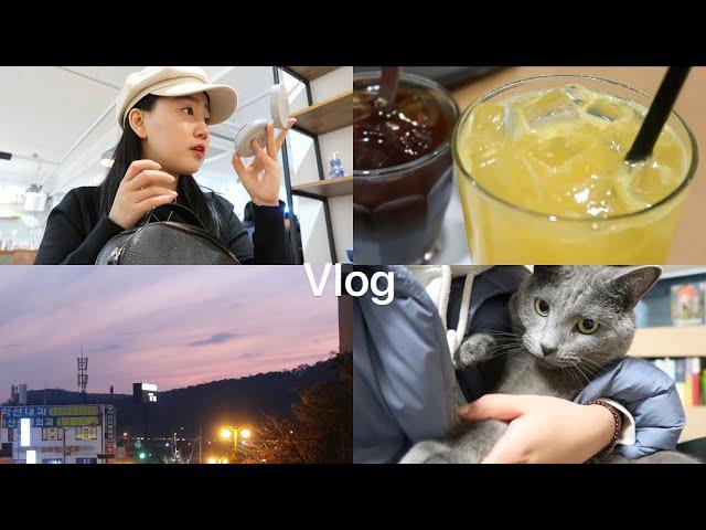 [VLOG] 연차내고 힐링 하는 직장인 브이로그 feat.고양이 집사