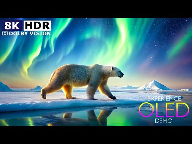 Snowfall 4K Video Ultra HD HDR 60FPS - Experience Dolby Vision 8K 10 Bit