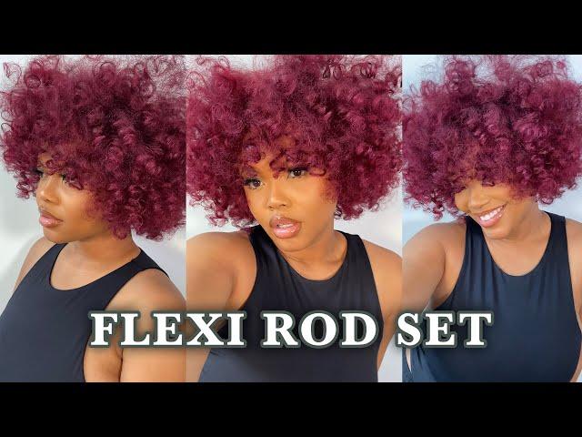 HOW TO: Quick & Easy FLEXI ROD SET on DRY HAIR! | NATURAL HAIR (4a/3c)