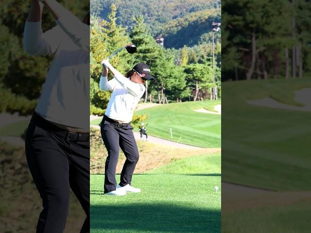 세계 46위의 스윙은 이런 것이다! 한국의 김세영프로가 보여주는 드라이버 샷!