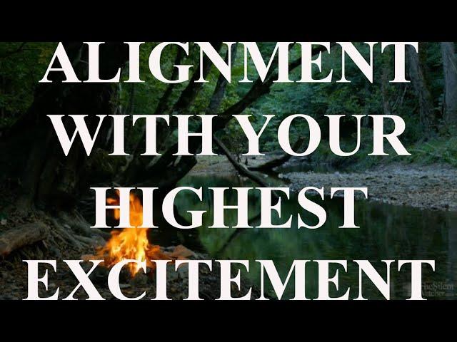 Bashar | Alignment with your Highest Excitement | Alignment Now