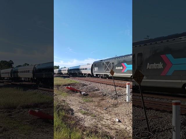 Amtrak 301 on P090 #railfanning #train #amtrak #csx #southcarolina