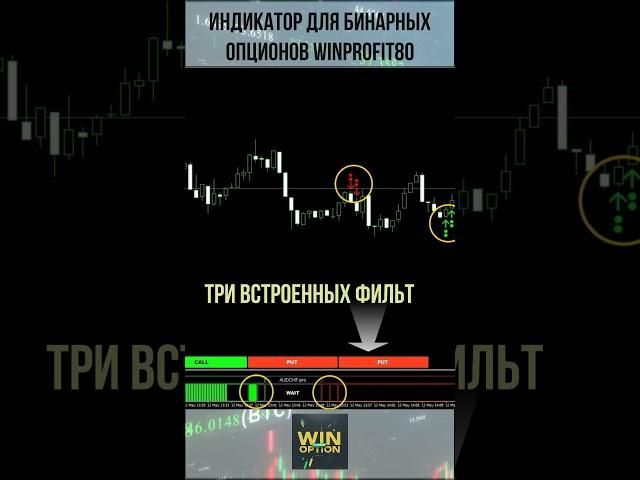 Индикатор для бинарных опционов WinProfit80