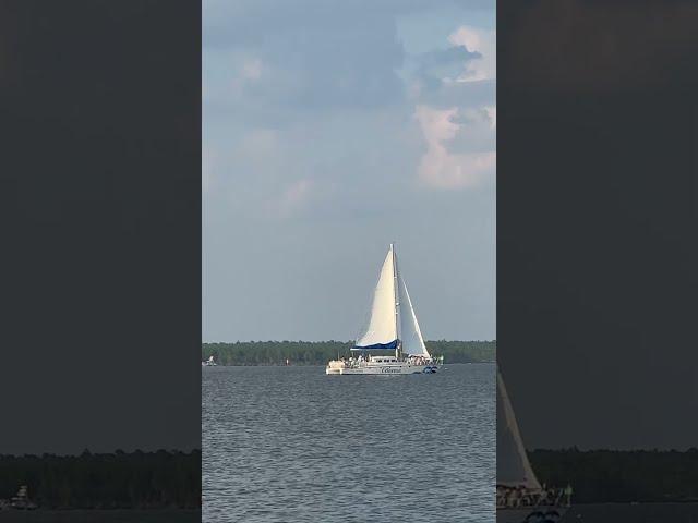 Sailing in Orange Beach, Alabama | Search The Gulf