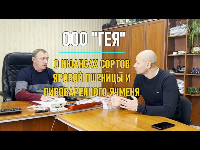 Перспективные сорта яровой пшеницы и ячменя - ООО "Гея", Алтайский край