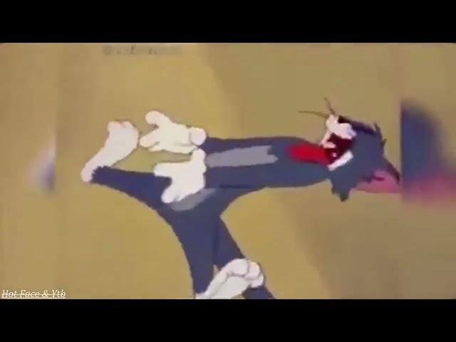 Tom and Jerry lost episode