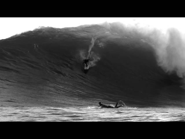 paul paterson June 2015 Cow Bombie