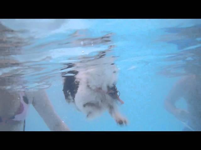 chica swims under view