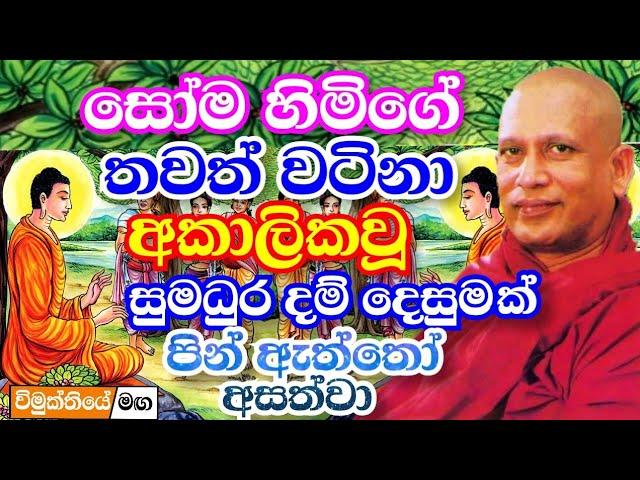 සෝම හිමි දෙසූ රත්තරං වටිනා බණක්, අකාලිකයි මේ දේශනය නම් හැමෝම අහන්න | Gangodawila Soma thero bana