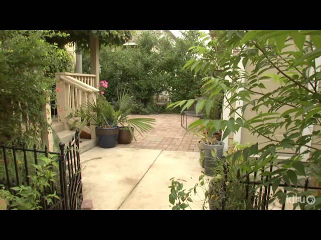 Native plant design for small garden|Ida Bujan|Central Texas Gardener