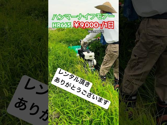 楽々草刈り　愛知県レンタル　#草刈　#農業  #ハンマーナイフモア 　#ラジコン草刈機