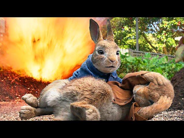 Crazy Rabbit rampage scenes  4K