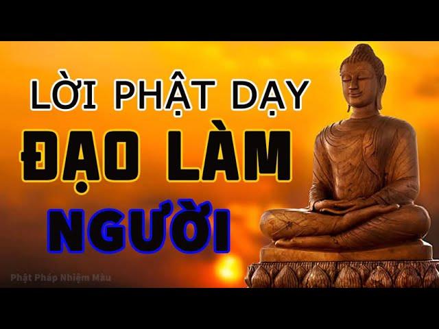 Lời Phật Dạy Về Đạo Làm Người rất hay P7 | Phật pháp Nhiệm màu