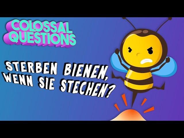 Warum sterben Bienen, nachdem sie stechen? | GIGANTISCHE FRAGEN