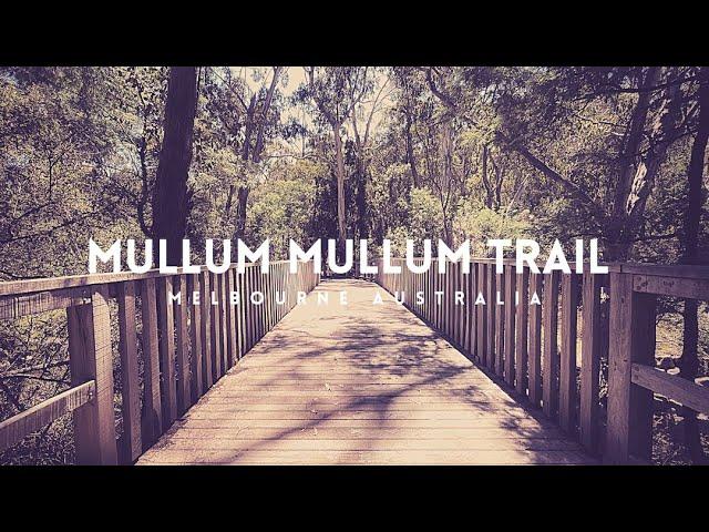 A Walk Along The Mullum Mullum Creek Trail // Melbourne Australia