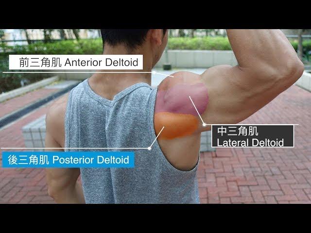 Shoulder Training - Exercises (More Rear Delts!)