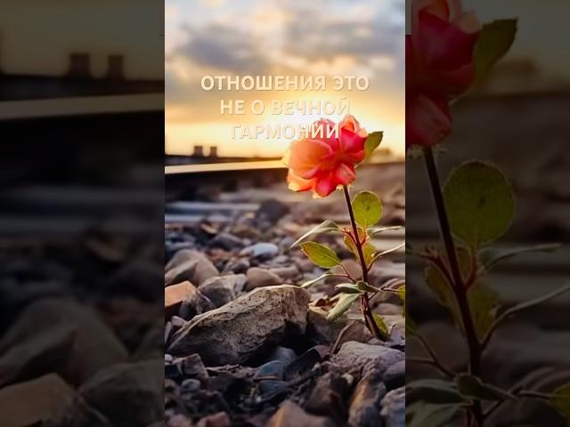 Отношения#рекомендации #мудрыеслова #любовь #мышление #вдохновение#саморазвитие#отношения#мотивация
