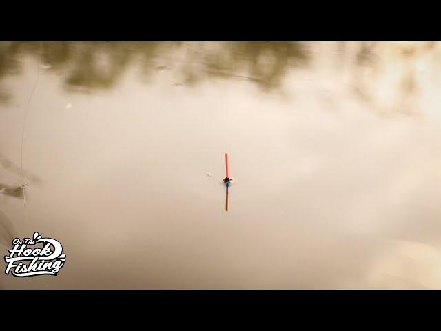 Pole Fishing for CARP - OnTheHook Fishing