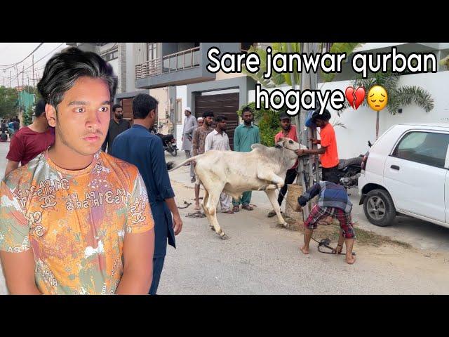 Qurbani k waqt cow bhag gayi ? |Bakra Eid Day 1 