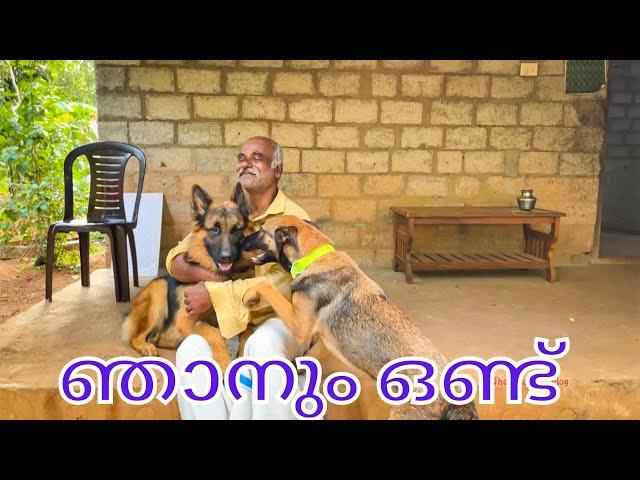 സോറി..അമ്മ ആണെന്ന് വിചാരിച്ചു.. ലെ ലിയോ | Liyo | chottuz | Laika