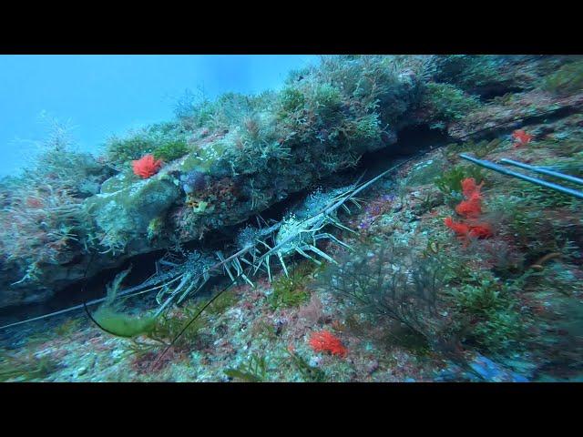 Water so clear looks like Diving through air ￼