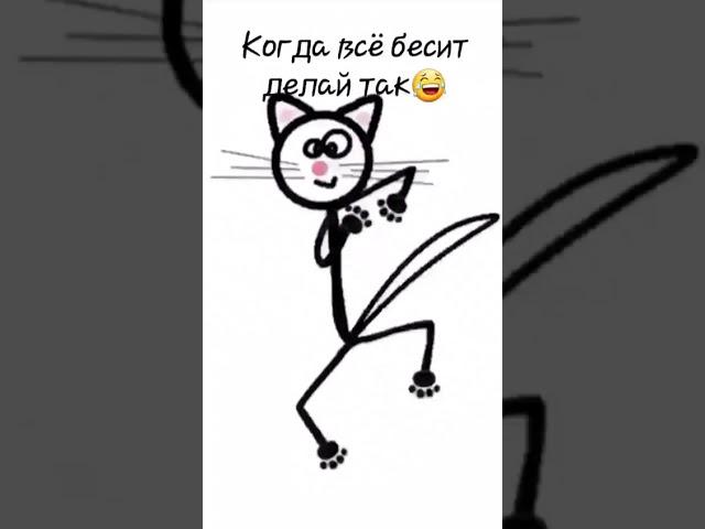 САМЫЙ ХАЙПОВЫЙ КОТ :-)