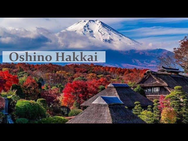 Mt Fuji World Heritage Site Oshino Hakkai | #oshinohakkai #忍野八海 #fuji #富士山