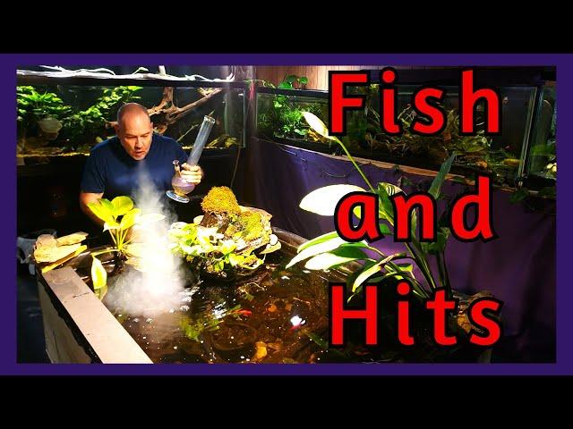 Friday Night Fish N Hits w/ Dan