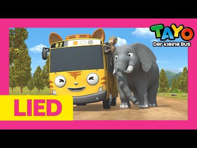 Tayo Lied l Ein Safari Abenteuer l Lied für Kinder l Tayo Der Kleine Bus