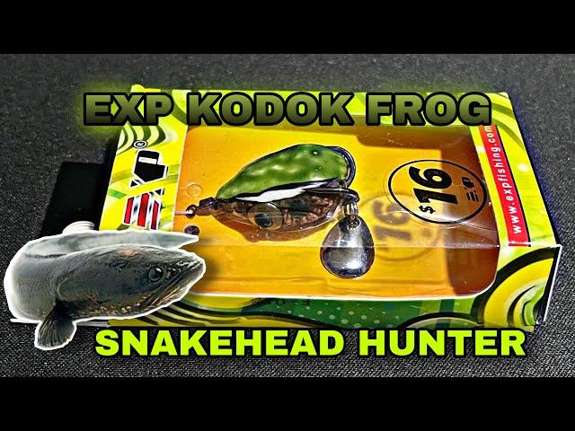 EXP Kodok Soft Rubber Frog Expert For Snakehead Hunter Haruan | Toman Bunga | Bujuk