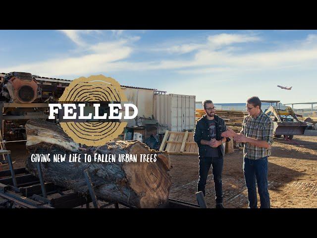 Felled - Giving Life To Fallen Urban Trees - FULL DOCUMENTARY