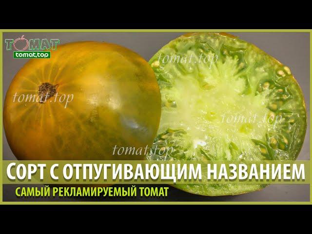 Самый рекламируемый сорт томата с отпугивающим многих названием. Об этом томате слышали уже все!