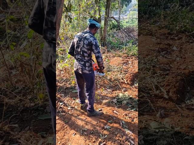 STIHL Chainsaw- Rs 35,000/-  easily cutting timber | Most powerful chainsaw - STIHL Rollomatic