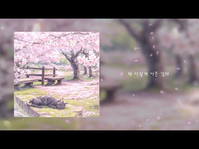 망고팔트 (MangoPhalt) - 사랑은 꽃잎처럼 내게 날아와 (Official) [Lyric Video]