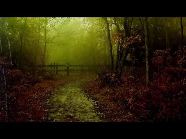 Rain and Native American Flutes   Relaxing Music