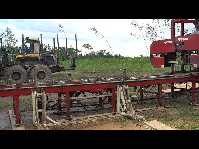 244B - 2019 Timber Buddy XP380 Portable Band Mill for sale