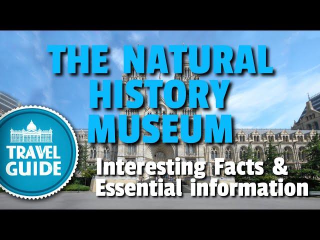 Visiting THE NATURAL HISTORY MUSEUM in London | A Travel Guide