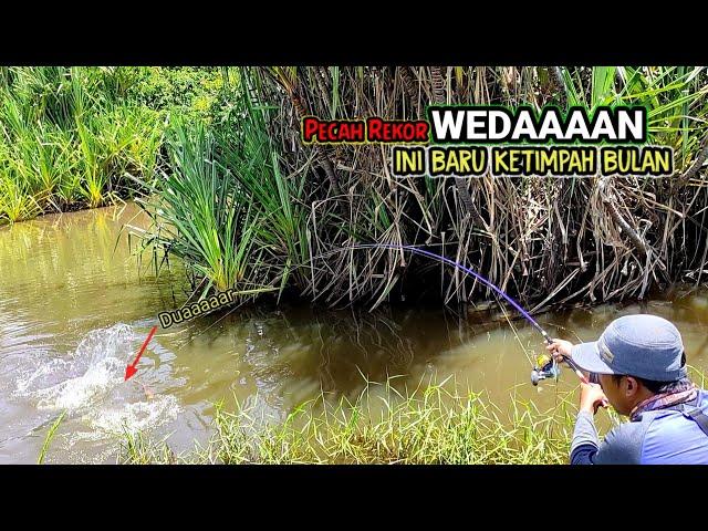 PECAH REKOR 2023!!! Mancing ikan di sungai liar hampir gak gercaya ikan nya gede banget