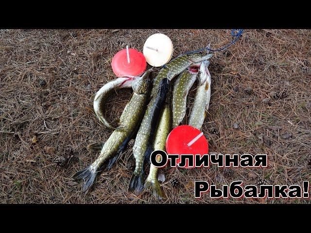 Ловля щуки на кружки 5.The pike fishing on mugs.